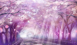 樱花动漫大全,漫享青春，邂逅梦幻动漫世界